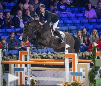 Flanders Horse Expo in Gent