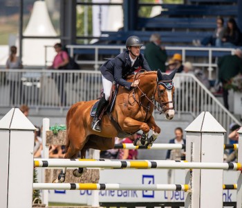 Strong weekend for Ilusionata Van 't Meulenhof!